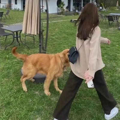 带兵的人
